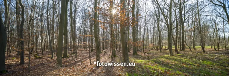 Panoramafotografie im 3:1 Format mit Shift-Objektiv