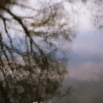 Beim-Fotografieren-einen-Lauf-haben-230313-0056-000116450005-1200p Spiegelung im Wasser