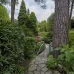 Steingarten und Wassergarten