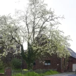 Autofahrt mit Kamera und Hoerbuch 230426 5026 DxO