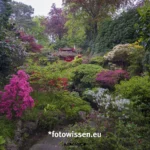 Gartenfotografie mit Polfilter