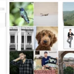 Instagram Fotos mit Nikon