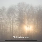 Naturfotografie 200127 5032