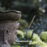 Test TTArtisan 100mm F2.8 M42 mit Canon R5 230826 7037
