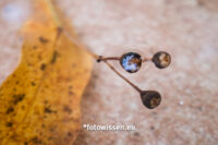 Fotografie hilft gegen Depressionen - Herbstfoto