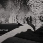 Infrarot - Garten