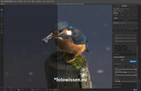 Geniales ON1 Photo RAW 2024.3 mit NoNoise AI Update