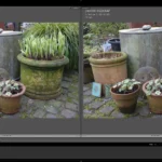 Testfoto X-T5 versus X100VI