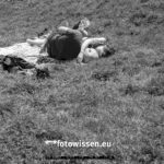 LIebende im Park Hamburg - 240714-0078