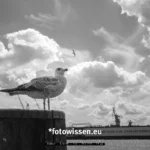 Landungsbrücken Hamburg fotografieren