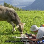 Tierfotografie mit Winkelsucher