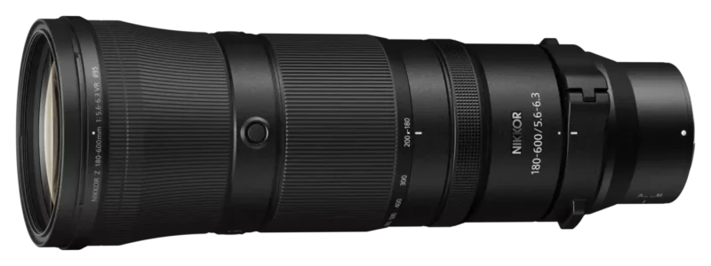 NIKKOR Z 180-600mm f:5.6-6.3 VR NIKKOR Z 180-600mm f:5.6-6.3 VR - Beliebtes Objektiv für die Wildlifefotografie