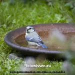 Testfoto RF 200-800 Originalausschnitt