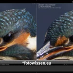 Vergleich DxO PhotoLab 7 Deep Prime XD versus PhotoLab 8 Deep Prime XD XD2s