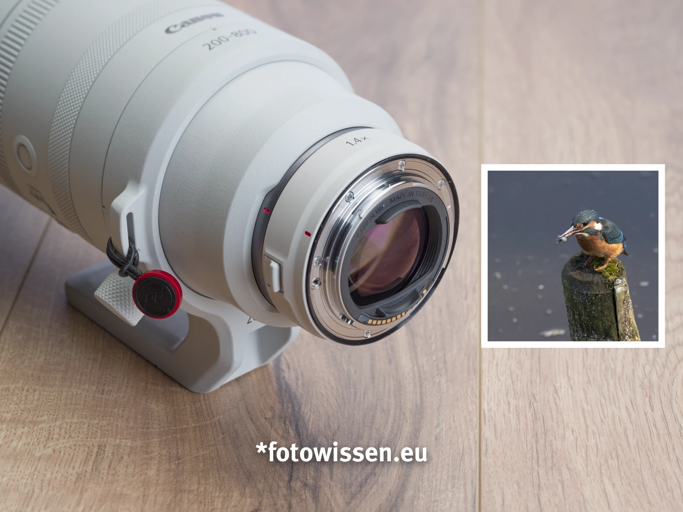 Wildlifefotografie mit Objektiv-Extender Telekonverter - Riesig Fotografieren