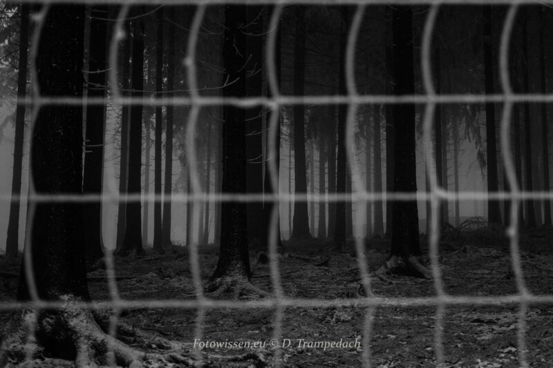 Der Wert eines Fotos-009