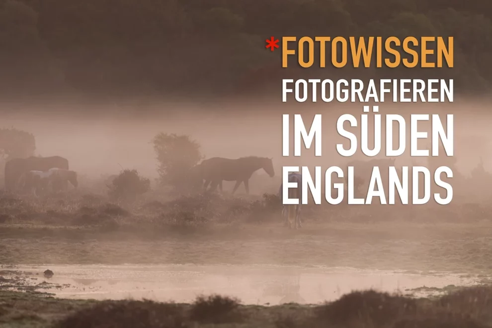 Fotografieren im Süden Englands