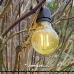iPhone 16 Pro Max JPG 12MP, Ausschnitt IMG_051231
