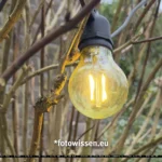 iPhone 16 Pro Max JPG 48 MP - Ausschnitt IMG_051233