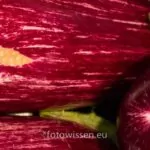 Canon Eos 100d Volkskamera Im Test