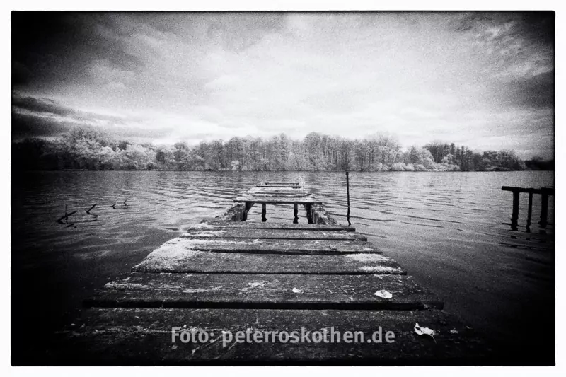 Schwarzweiß Foto aus digitalem Infrarot