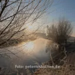 20110209 5619 21