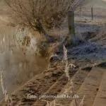 20110209 5619 20 21 Hdrproj 2
