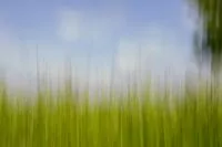Freude An Unschärfe - Wischtechnik Fotografie