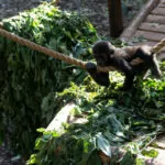Burgers Zoo – Teil 4 – Safari