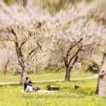 Lensbaby Portrait