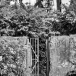 Ein Fotografischer Nachmittag Im Lapadu – Alternativ In S/w