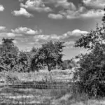 Ein Fotografischer Nachmittag Im Lapadu – Alternativ In S/w