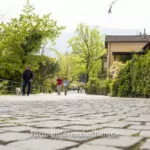 Ein Tag Fotografie Mit Der Festbrennweite – Fotoexperiment