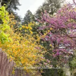 Ein Tag Fotografie Mit Der Festbrennweite – Fotoexperiment