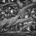 Ein Tag Fotografie Mit Der Festbrennweite – Fotoexperiment
