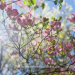 Ein Tag Fotografie mit der Festbrennweite, Fotoexperiment