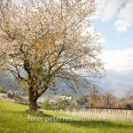 Ein Tag Fotografie Mit Der Festbrennweite – Fotoexperiment