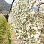 Ein Tag Fotografie Mit Der Festbrennweite – Fotoexperiment