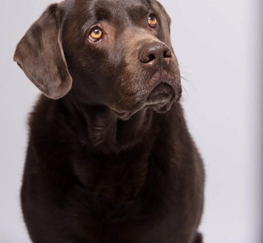 Ernie 1 Von 1