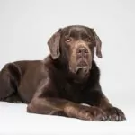 Ernie 6 Von 6