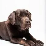 Ernie 2 1 Von 1 4