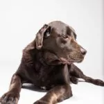 Ernie 2 1 Von 1 5