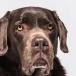 Ernie 2 1 Von 1 7