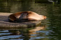 Tierfotografie – Kritik Erwünscht