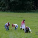 Zombies