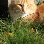 Img 1698 Resize