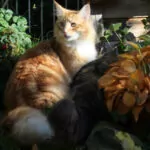 Img 1777 Resize
