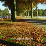 Soldatenfriedhof Venray Nl Fotos