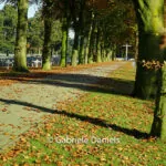 Soldatenfriedhof Venray Nl Fotos