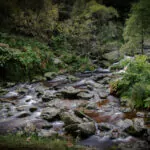 Powerscourt Waterfall